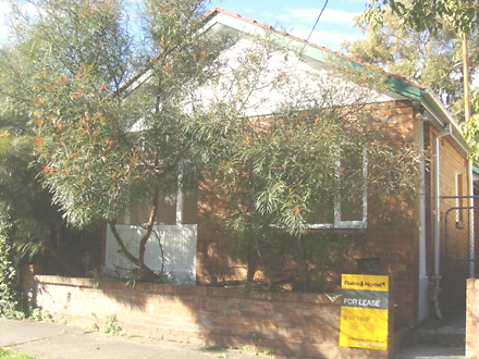 163 Flood Street, Leichhardt 2040, NSW House Photo