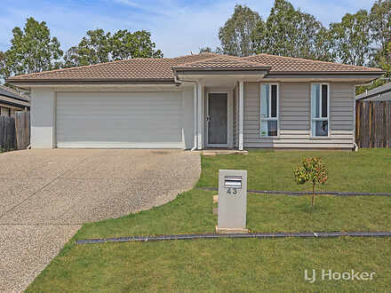 43 Piping Court, Raceview 4305, QLD House Photo