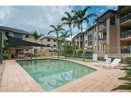 65/300 Sir Fred Schonell Drive, St Lucia 4067, QLD Unit Photo