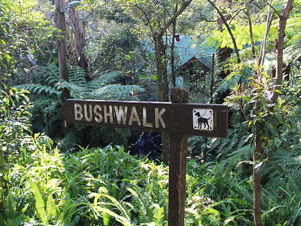 Bushwalk apr.2021 1651630410 thumbnail