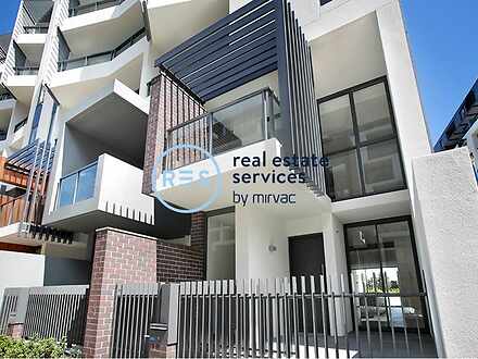 146 Ross Street, Glebe 2037, NSW Terrace Photo